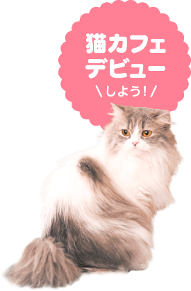 猫カフェデビューしよう！