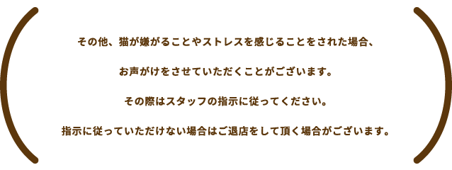 その他、猫が嫌がることやストレスを感じることをされた場合、お声がけをさせていただくことがございます。その際はスタッフの指示に従ってください。指示に従っていただけない場合はご退店をして頂く場合がございます。